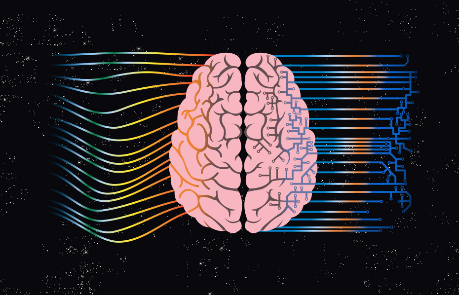 top view of human brain with colorful curves on right and blue with orange digital lines of left